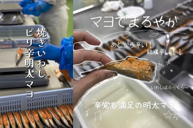 焼きいわしピリ辛明太マヨ